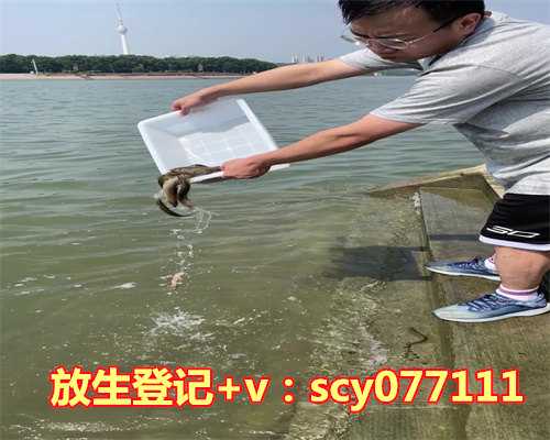 上海何地可以放生鲤鱼(上海那个河道