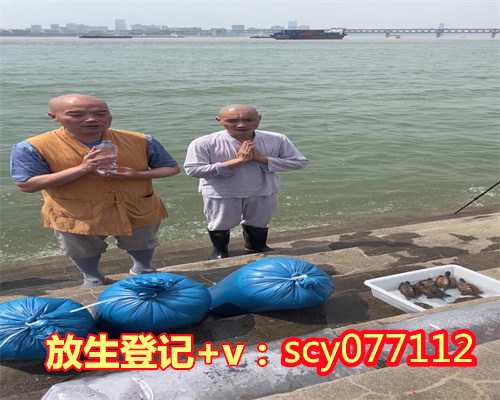北京可以放生鱼的地方，北京雍和宫新春“法舞”