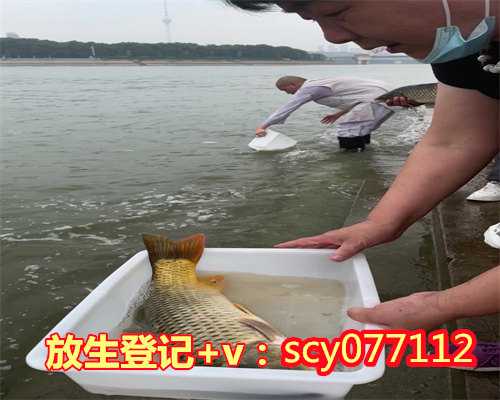 北京何地可以放生石螺，老北京面茶的做法