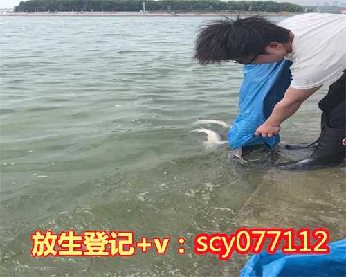 儿子过生日买什么鱼放生好一点呢，放生鱼什么时间去最好1