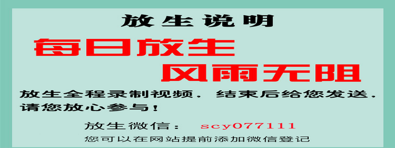 合肥长期放生的人（合肥河放生地点）