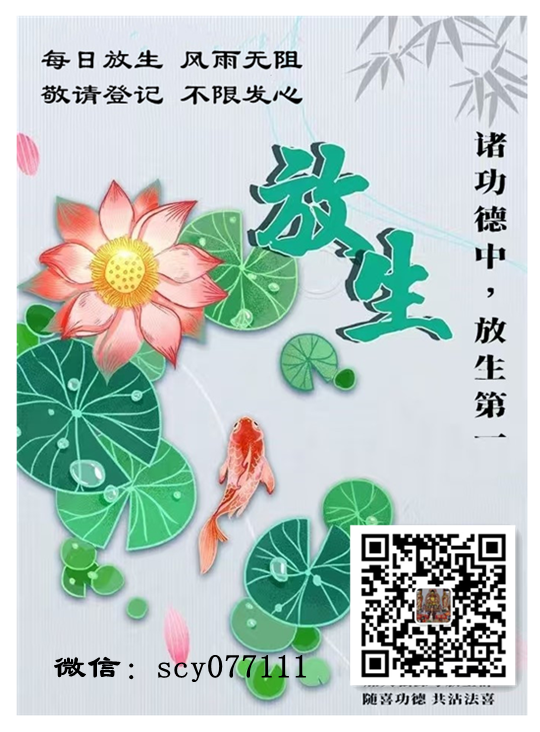 合肥巴西龟养了一年多后放生,巴西龟养了一年多后放生,合肥哪个地段放生